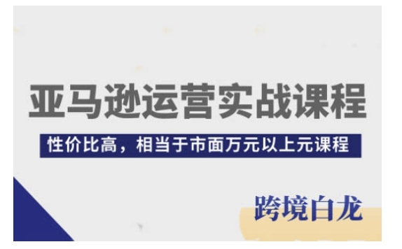 亚马逊运营实战课程，亚马逊从入门到精通，性价比高，相当于市面万元以上元课程-精品虚拟资源库