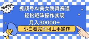 视频号蓝海赛道玩法，当天起号，拉爆流量收益，小白也能轻松月入30000+-精品虚拟资源库