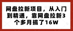 网盘拉新项目，从入门到精通，靠网盘拉新3个多月搞了16W-精品虚拟资源库