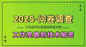 2025问卷调查最新工作室技术解密:一个人在家也可以闷声发大财,小白一天2张,可矩阵放大【揭秘】-精品虚拟资源库