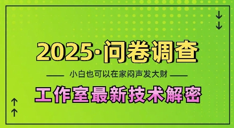2025问卷调查最新工作室技术解密：一个人在家也可以闷声发大财，小白一天2张，可矩阵放大【揭秘】-精品虚拟资源库