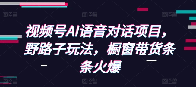 视频号AI语音对话项目，野路子玩法，橱窗带货条条火爆-精品虚拟资源库