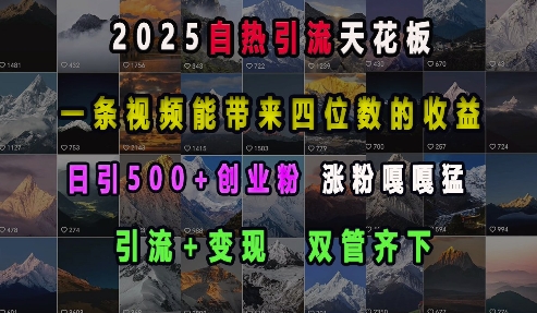 2025自热引流天花板，一条视频能带来四位数的收益，引流+变现双管齐下，日引500+创业粉，涨粉嘎嘎猛-精品虚拟资源库