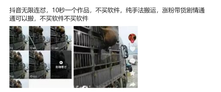 抖音无限连怼，10秒一个作品不买软件，纯手法搬运，涨粉带货剧情通通可以搬-精品虚拟资源库
