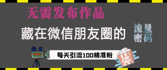 藏在微信朋友圈的流量密码，无需发布作品，单日引流100+精准创业粉【揭秘】-精品虚拟资源库