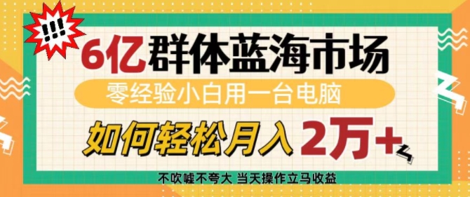 6亿群体蓝海市场，零经验小白用一台电脑，如何轻松月入过w【揭秘】-精品虚拟资源库