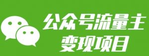 公众号流量主变现项目：每天2小时，普通人每月多挣三五千-精品虚拟资源库