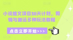 小说推文项目38天计划，剪辑与搬运多种玩法教程-精品虚拟资源库
