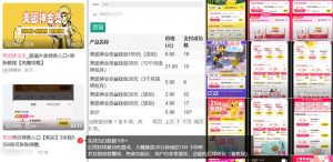 美团神券/神会员_入门级教程，外卖券膨胀推广项目【蓝海市场攻略】-精品虚拟资源库