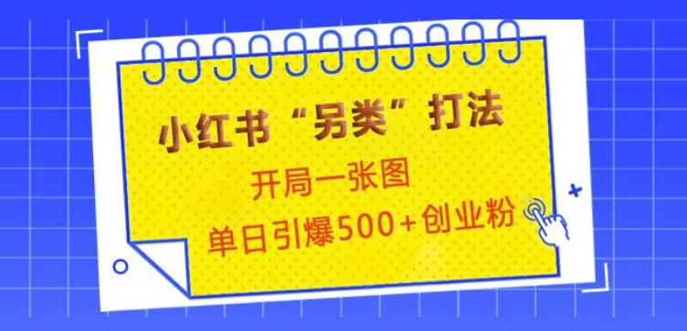 小红书“另类”打法，开局一张图，单日引爆500+精准创业粉【揭秘】-精品虚拟资源库