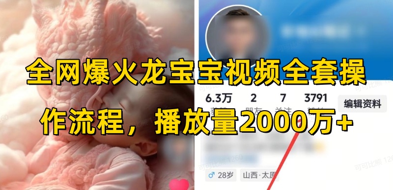 全网爆火龙宝宝视频全套操作流程，播放量2000万+-精品虚拟资源库