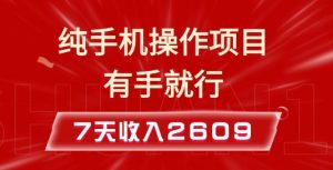 纯手机操作的小项目，有手就能做，7天收入2609+实操教程【揭秘】-精品虚拟资源库