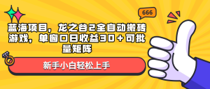 蓝海项目，龙之谷2全自动搬砖游戏，单窗口日收益30＋可批量矩阵-精品虚拟资源库