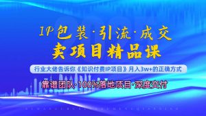 《IP包装·暴力引流·闪电成交卖项目精品课》如何在众多导师中脱颖而出?-精品虚拟资源库