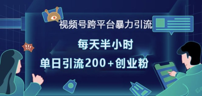 视频号跨平台暴力引流，每天半小时，单日引流200+精准创业粉-精品虚拟资源库