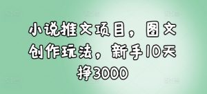 小说推文项目，图文创作玩法，新手10天挣3000-精品虚拟资源库