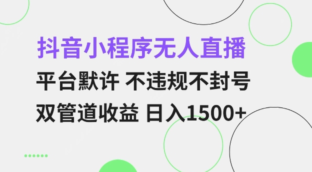 抖音小程序无人直播 平台默许 不违规不封号 双管道收益 日入多张 小白也能轻松操作【仅揭秘】-精品虚拟资源库