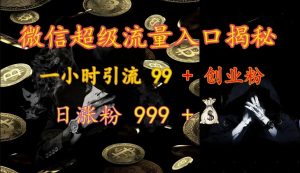微信超级流量入口揭秘:一小时引流 99 + 创业粉,日涨粉 999 +-精品虚拟资源库