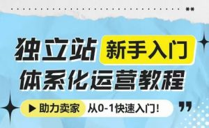 独立站新手入门体系化运营教程,助力独立站卖家从0-1快速入门!-精品虚拟资源库