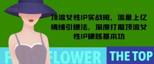 顶流女性IP实战班,流量上亿情绪引爆法,深度打磨顶流女性IP硬核基本功-精品虚拟资源库