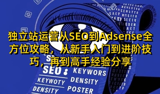 独立站运营从SEO到Adsense全方位攻略，从新手入门到进阶技巧，再到高手经验分享-精品虚拟资源库