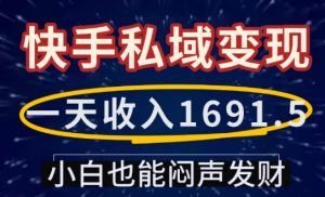 一天收入1691.5,快手私域变现,小白也能闷声发财-精品虚拟资源库