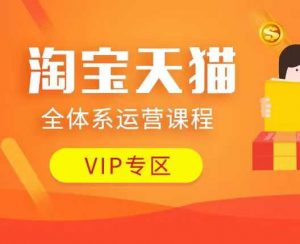 淘宝天猫全体系运营课程：店铺全系运营、动销玩法、付费推广、流量提升、擦边球玩法等等-精品虚拟资源库