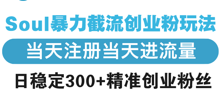 Soul暴力截流创业粉玩法，当天注册当天进流量，日稳定300+精准创业粉丝-精品虚拟资源库