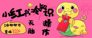 小红书冷知识账号,无脑复制粘贴,5分钟即可变现3张-精品虚拟资源库