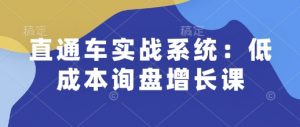 直通车实战系统:低成本询盘增长课,让个人通过技能实现升职加薪,让企业低成本获客,订单源源不断-精品虚拟资源库
