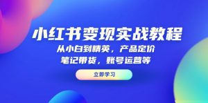 小红书变现实战教程：从小白到精英，产品定价，笔记带货，账号运营等-精品虚拟资源库