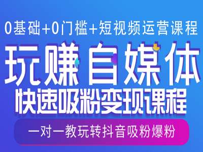 0基础+0门槛+短视频运营课程，玩赚自媒体快速吸粉变现课程，一对一教玩转抖音吸粉爆粉-精品虚拟资源库