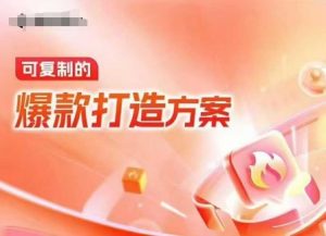 天猫电商爆款运营,可复制的爆款打造方案(线下内训课录音+字幕)-精品虚拟资源库