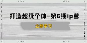 打造 超级个体-第6期ip营:商业认知,产品设计,成交演练,解决知识变现难题-精品虚拟资源库
