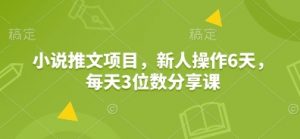 小说推文项目，新人操作6天，每天3位数分享课-精品虚拟资源库