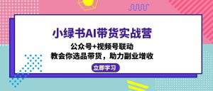 小绿书AI带货实战营:公众号+视频号联动,教会你选品带货,助力副业增收-精品虚拟资源库