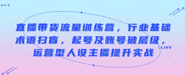 直播带货流量训练营，行业基础术语扫盲，起号及账号破层级，运营型人设主播提升实战-精品虚拟资源库