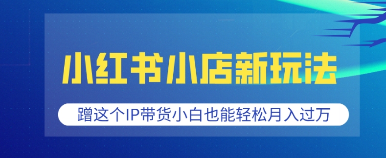 小红书小店新玩法，蹭这个IP带货，小白也能轻松月入过W【揭秘】-精品虚拟资源库