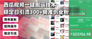 西瓜视频一键搬运技术，稳定日引流300+精准创业粉，简单可复制给团队，...-精品虚拟资源库