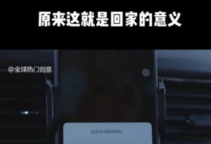 利用春节风口，制作热点视频，多种玩法类型，新手也能轻松变现！-精品虚拟资源库