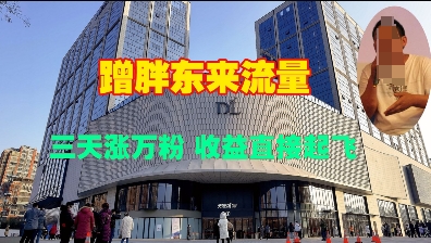 蹭胖东来流量，三天涨万粉，收益直接起飞-精品虚拟资源库