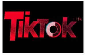 TikTok ads投流秘籍，涵盖tiktok整体投放思路，教你搭建测试计划-精品虚拟资源库