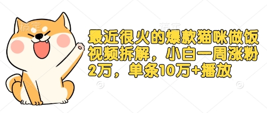 最近很火的爆款猫咪做饭视频拆解，小白一周涨粉2万，单条10万+播放(附保姆级教程)-精品虚拟资源库