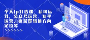 个人ip打造课，私域运营，公众号运营，知乎运营，底层逻辑和方向定位等-精品虚拟资源库