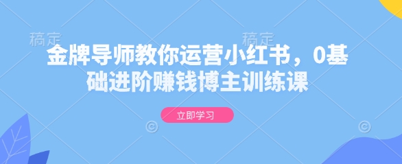 金牌导师教你运营小红书，0基础进阶赚钱博主训练课-精品虚拟资源库