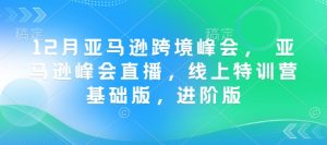 12月亚马逊跨境峰会, 亚马逊峰会直播,线上特训营基础版,进阶版-精品虚拟资源库