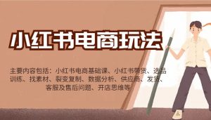 小红书电商玩法：带货/选品/找素材/裂变/数据分析/供应商/发货/售后/开店思维等-精品虚拟资源库