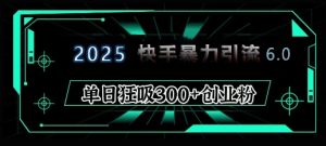 2025年快手6.0保姆级教程震撼来袭,单日狂吸300+精准创业粉-精品虚拟资源库