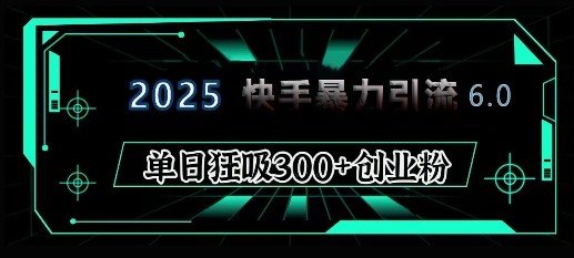 2025年快手6.0保姆级教程震撼来袭，单日狂吸300+精准创业粉-精品虚拟资源库