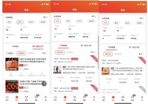 2025最新京东蓝海项目，0 门槛日入 1k+，小白宝妈轻松上手【揭秘】-精品虚拟资源库